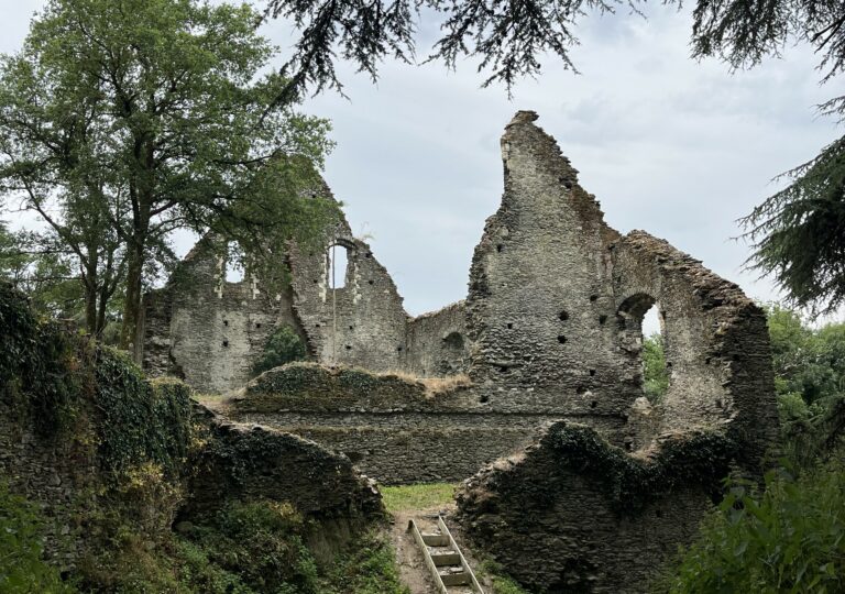 ruines_du_chateau_de_oudon